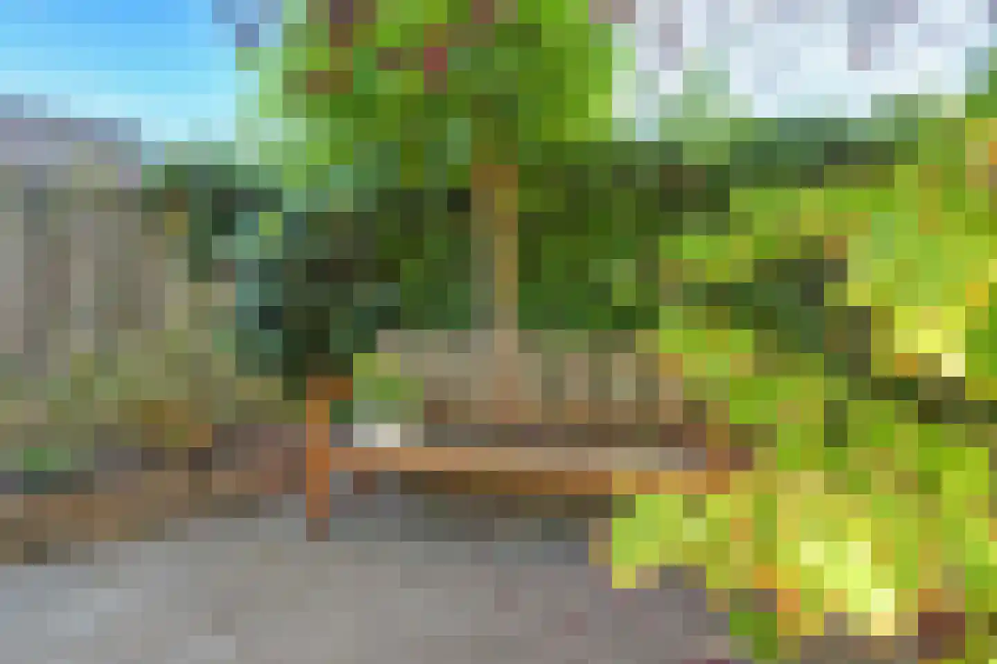 Krijgertje 20 Best thumbnail 45