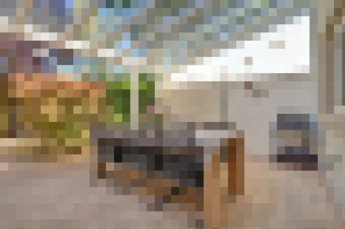 Krijgertje 20 Best thumbnail 46