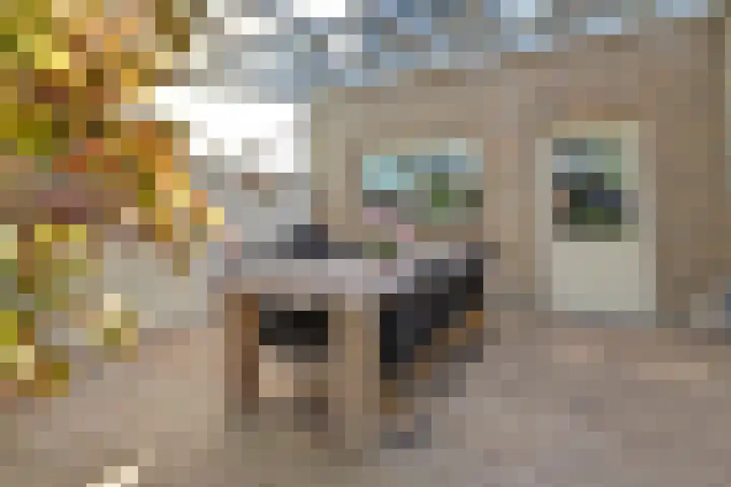 Krijgertje 20 Best thumbnail 47