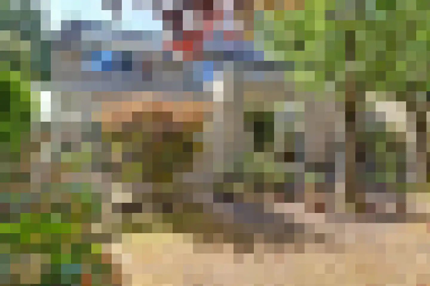 Krijgertje 20 Best thumbnail 48