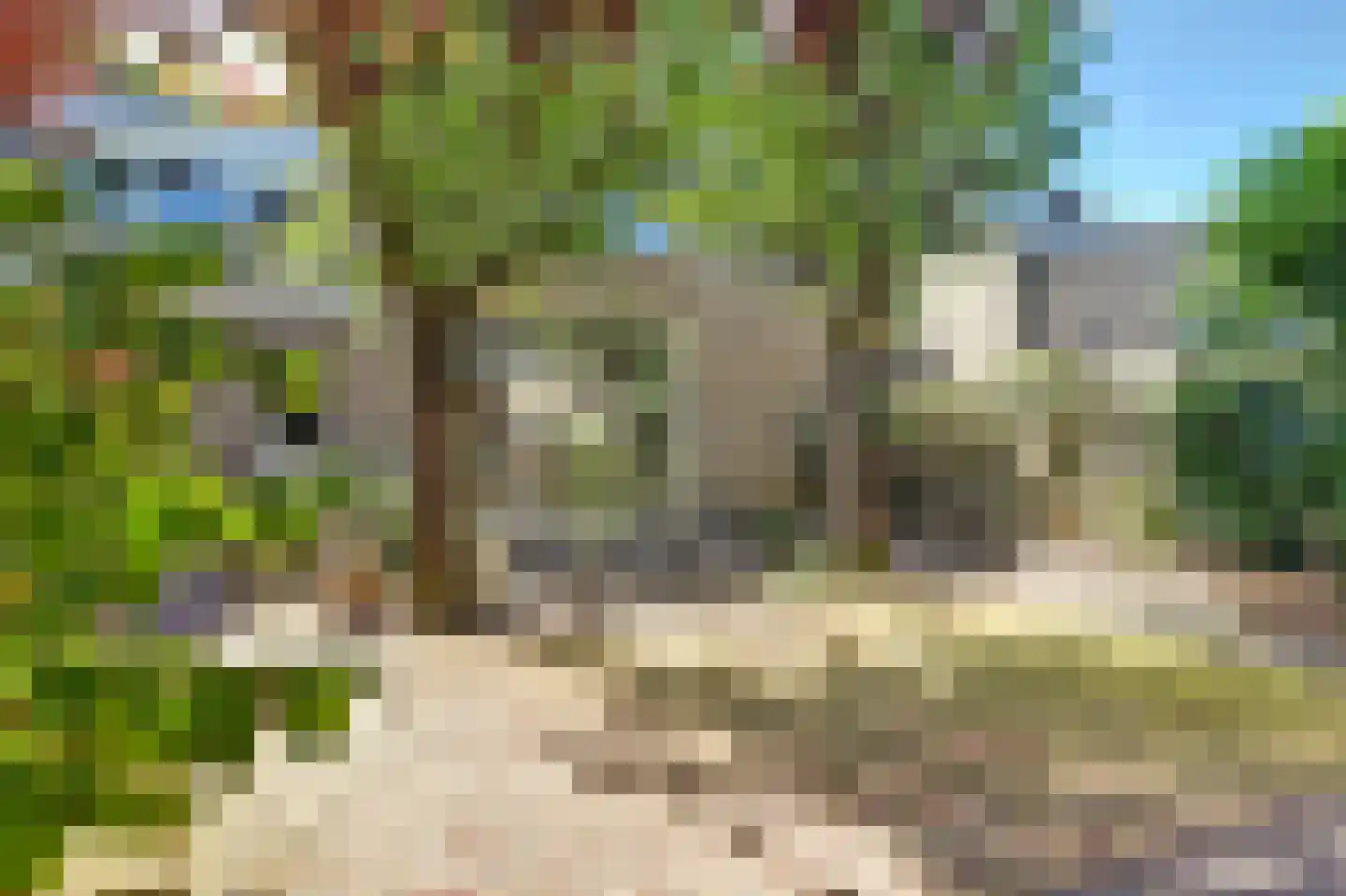Krijgertje 20 Best thumbnail 49
