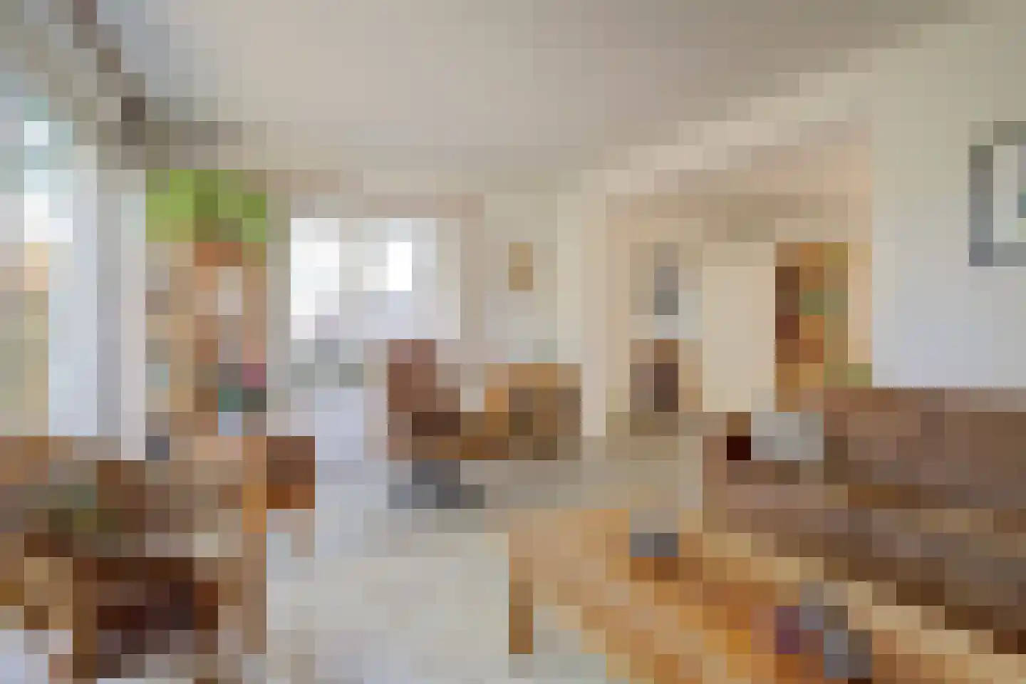 Krijgertje 20 Best thumbnail 5