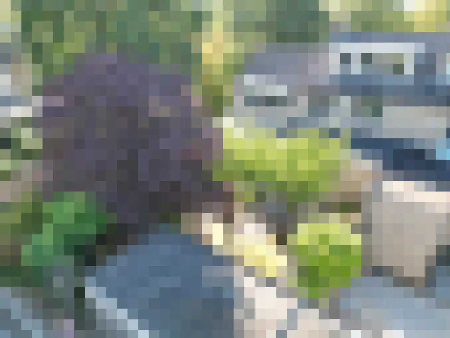 Krijgertje 20 Best thumbnail 51