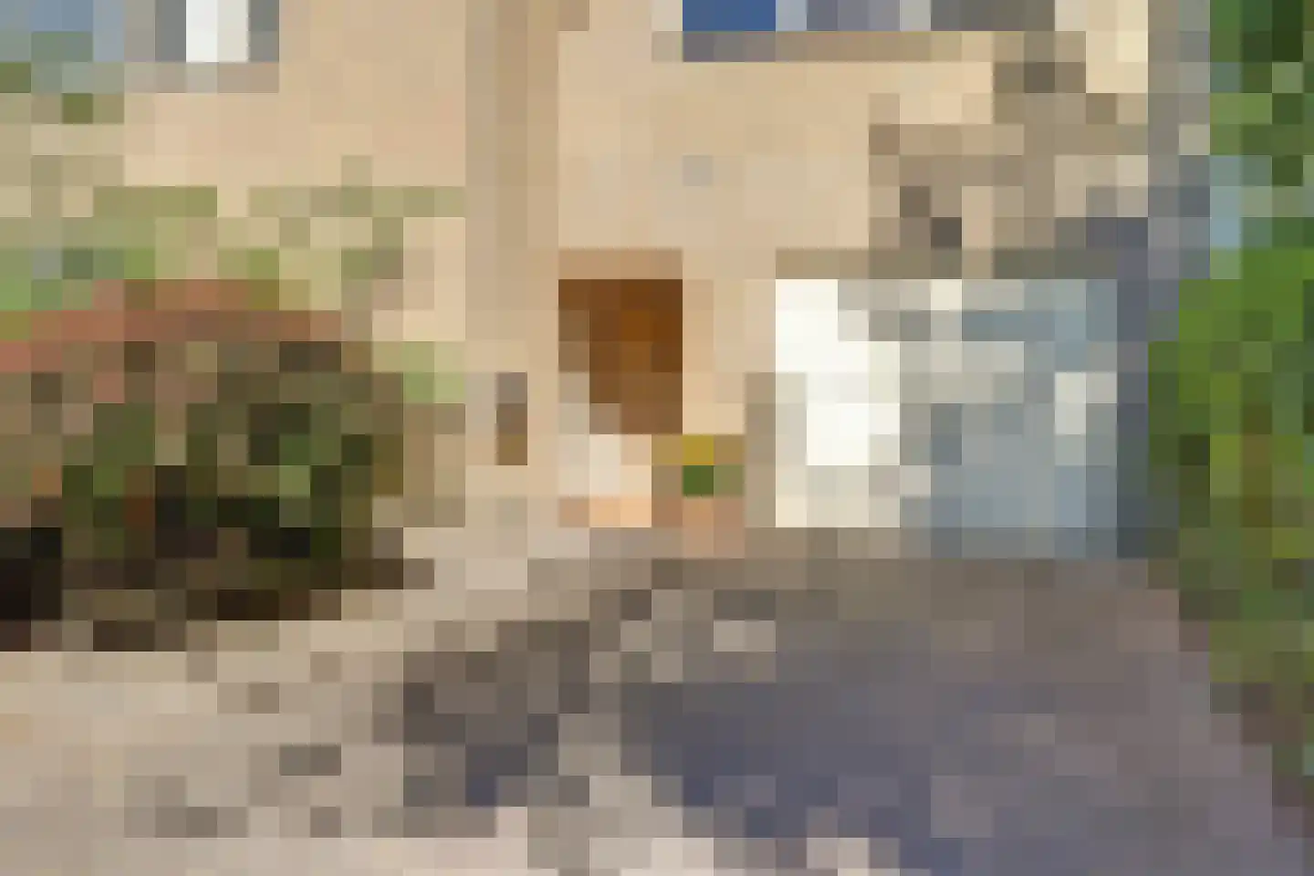 Krijgertje 20 Best thumbnail 52