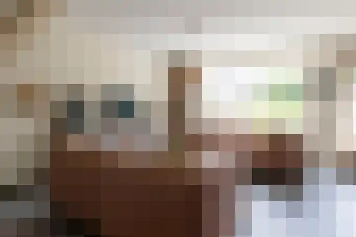 Krijgertje 50 Best thumbnail 12