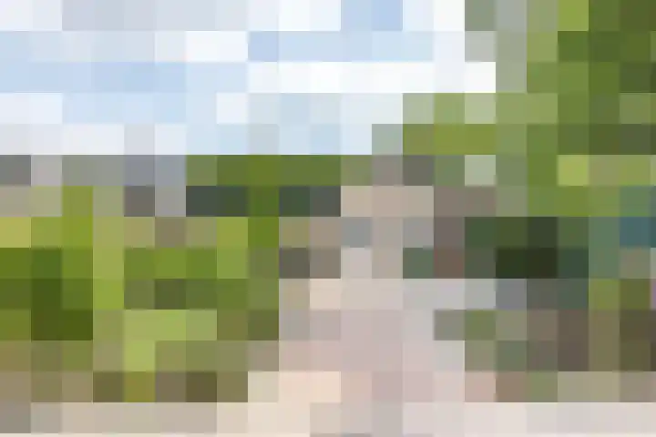 Krijgertje 50 Best foto 2