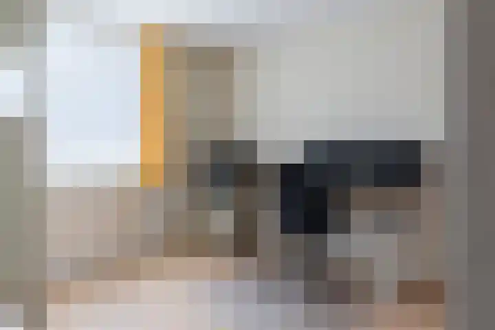 Krijgertje 50 Best thumbnail 21