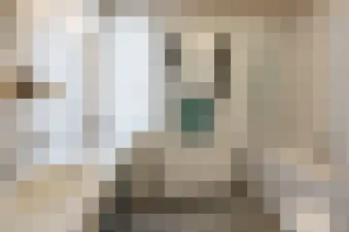 Krijgertje 50 Best thumbnail 25