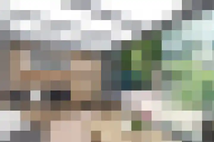 Krijgertje 50 Best thumbnail 41