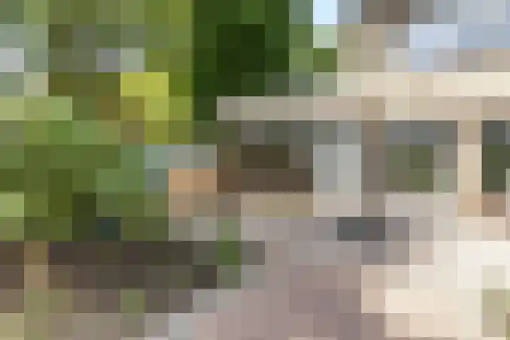 Krijgertje 50 Best thumbnail 43