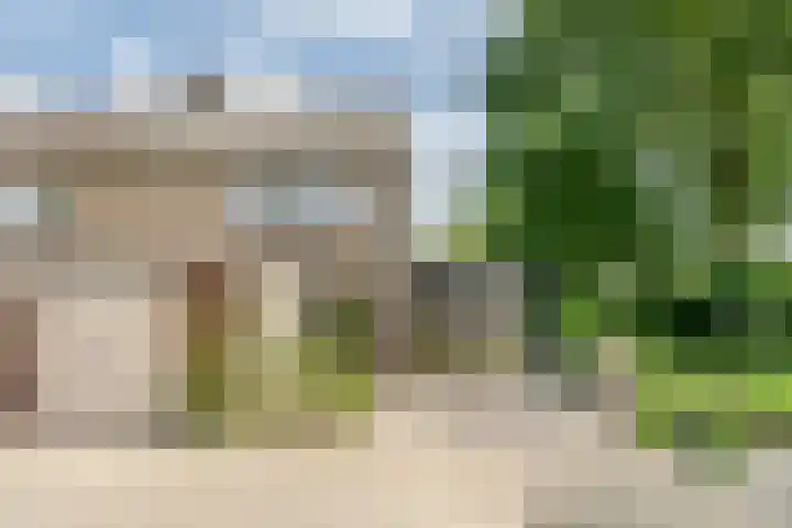 Krijgertje 50 Best thumbnail 44