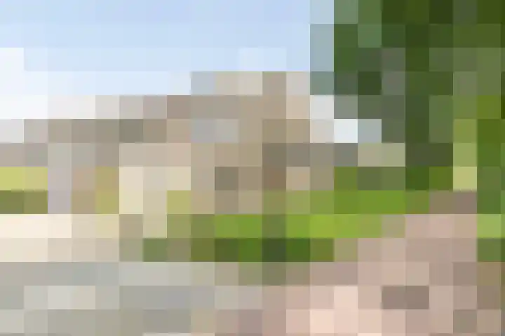 Krijgertje 50 Best thumbnail 50