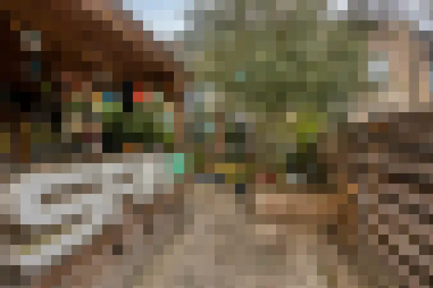 Krijgsmansveld 311 Apeldoorn thumbnail 32