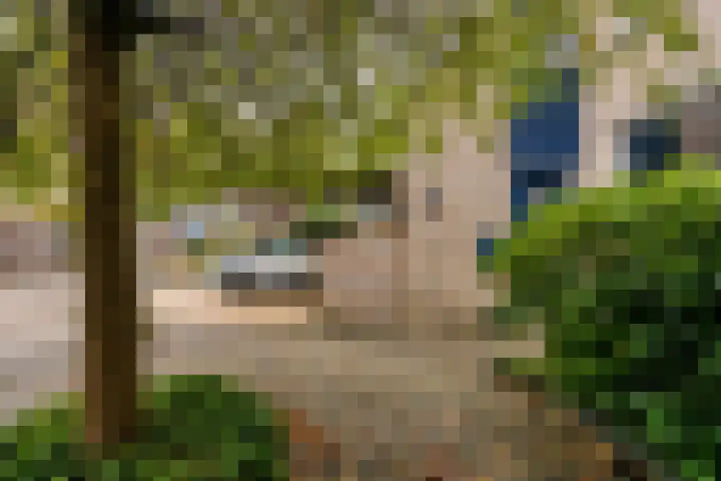 Krijgsmansveld 311 Apeldoorn thumbnail 5