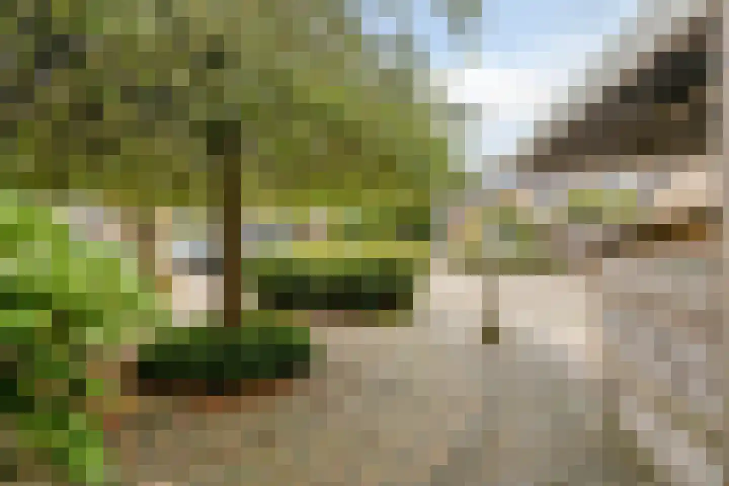 Krijgsmansveld 311 Apeldoorn thumbnail 6