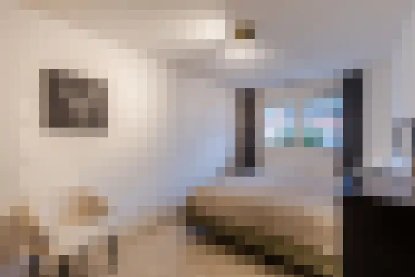 Krijn Breurstraat 5 Amsterdam thumbnail 20