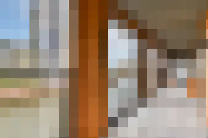 Krijn Taconiskade 115 Amsterdam thumbnail 11