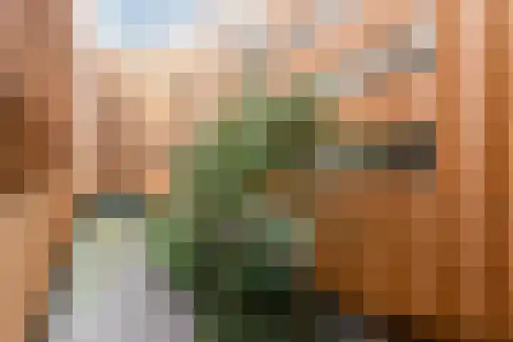 Krijn Taconiskade 115 Amsterdam thumbnail 27