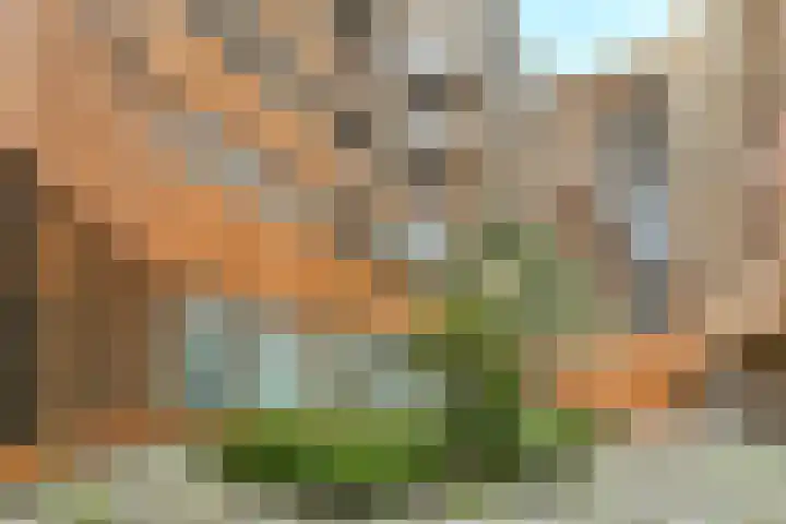 Krijn Taconiskade 115 Amsterdam thumbnail 28