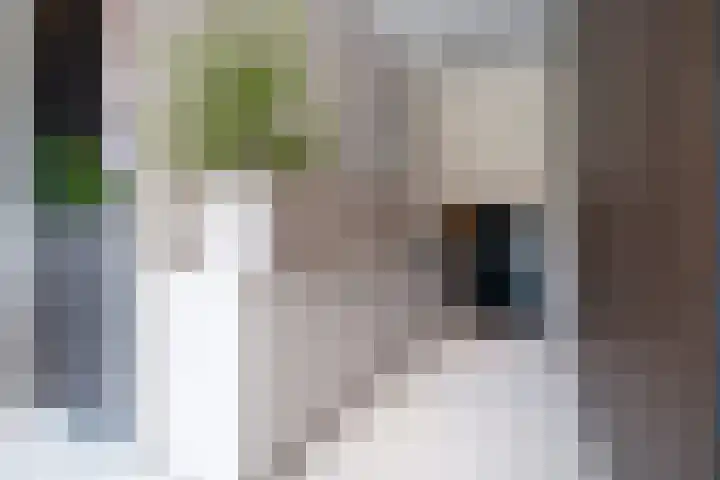 Krijn Taconiskade 21 Amsterdam thumbnail 14