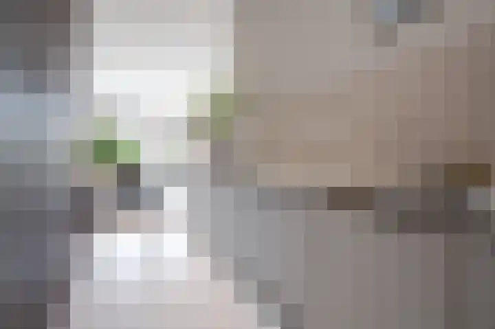 Krijn Taconiskade 21 Amsterdam thumbnail 18