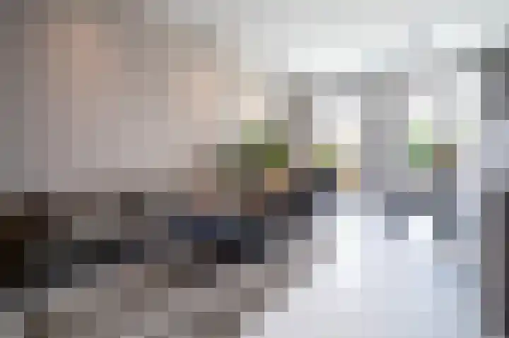 Krijn Taconiskade 21 Amsterdam thumbnail 4