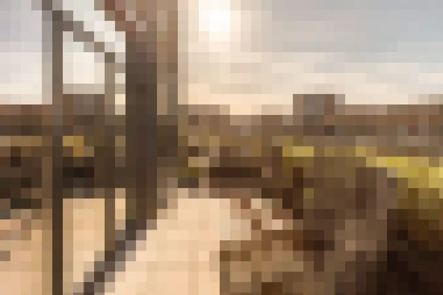 Krijn Taconiskade 23 Amsterdam thumbnail 12
