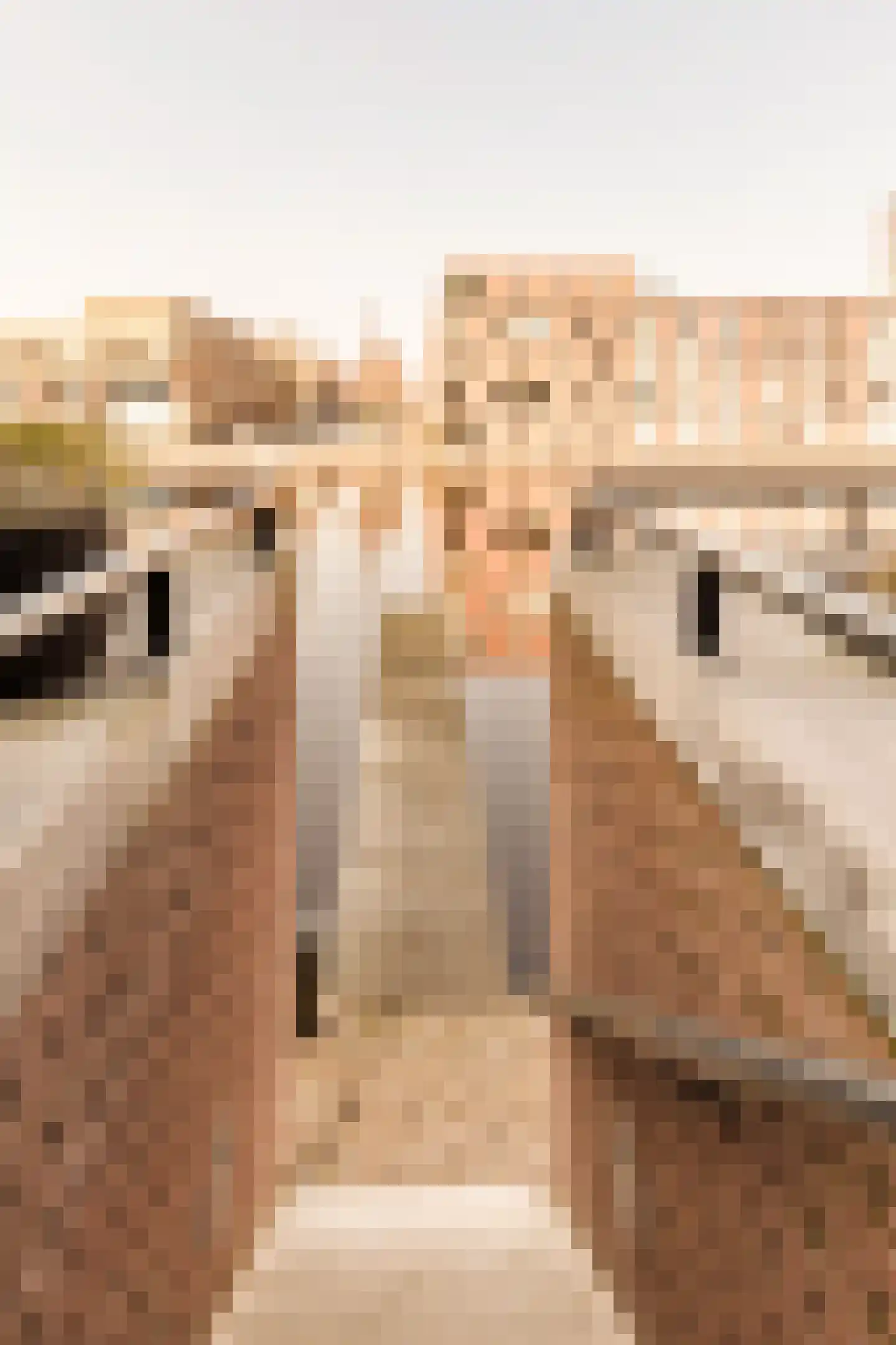 Krijn Taconiskade 23 Amsterdam thumbnail 13