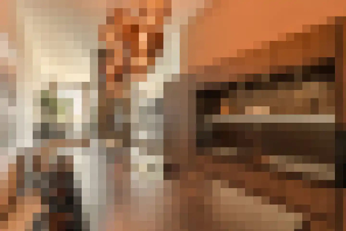 Krijn Taconiskade 23 Amsterdam thumbnail 19