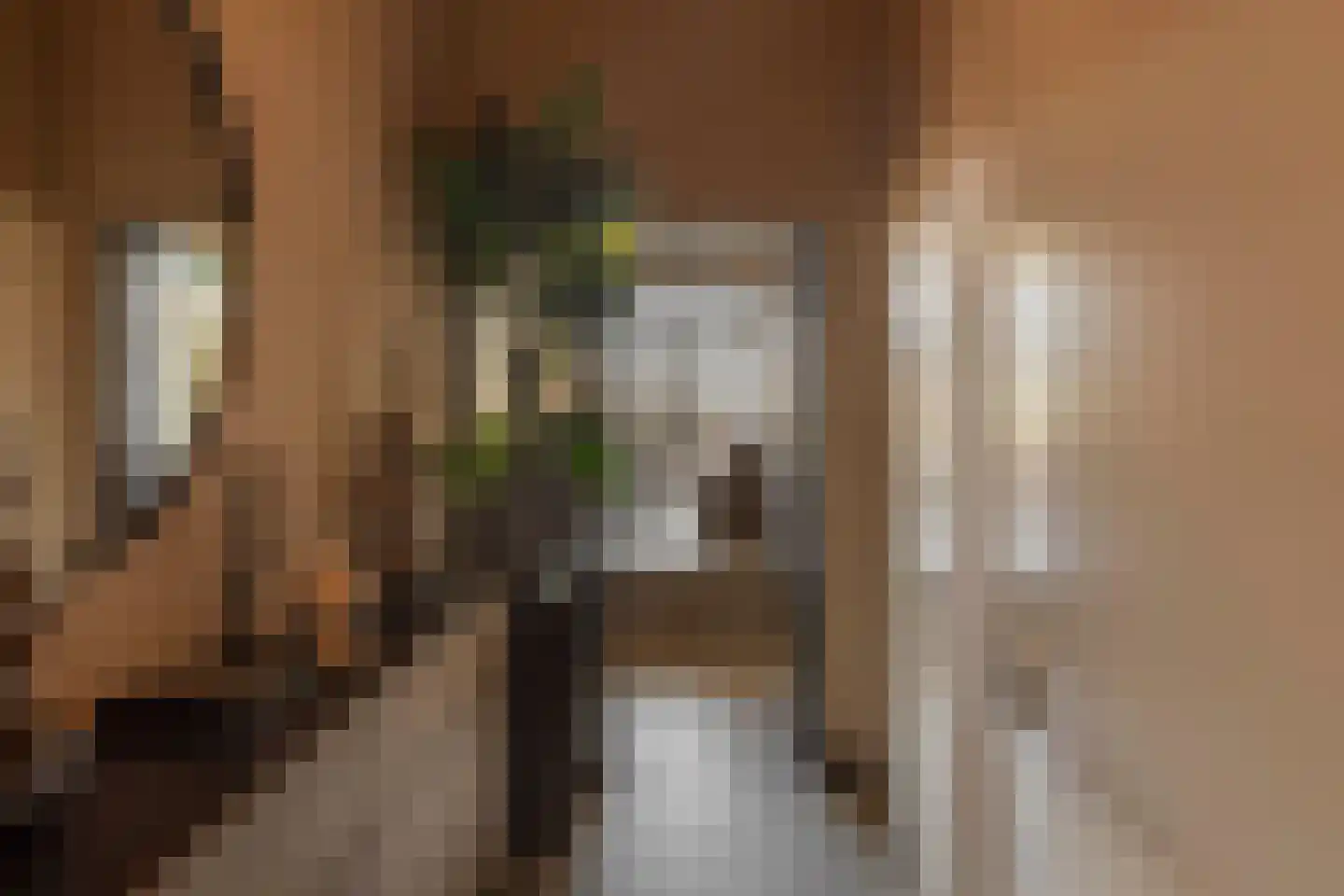Krijn Taconiskade 23 Amsterdam thumbnail 29