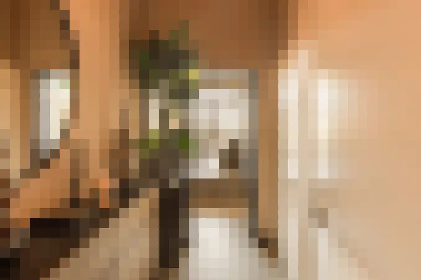 Krijn Taconiskade 23 Amsterdam thumbnail 30