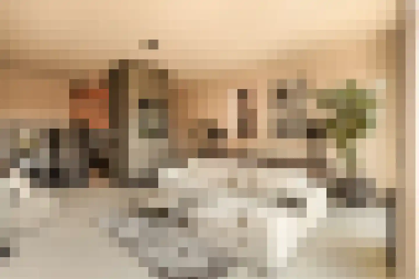 Krijn Taconiskade 23 Amsterdam thumbnail 6