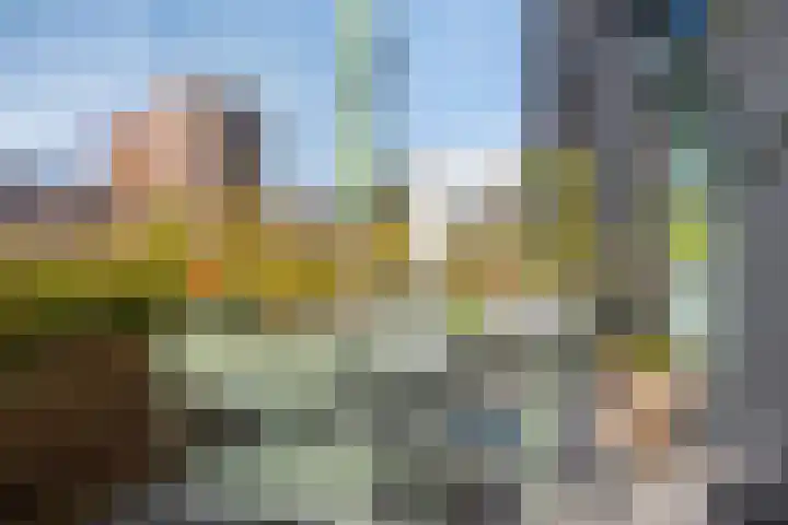 Krijn Taconiskade 25 Amsterdam thumbnail 20