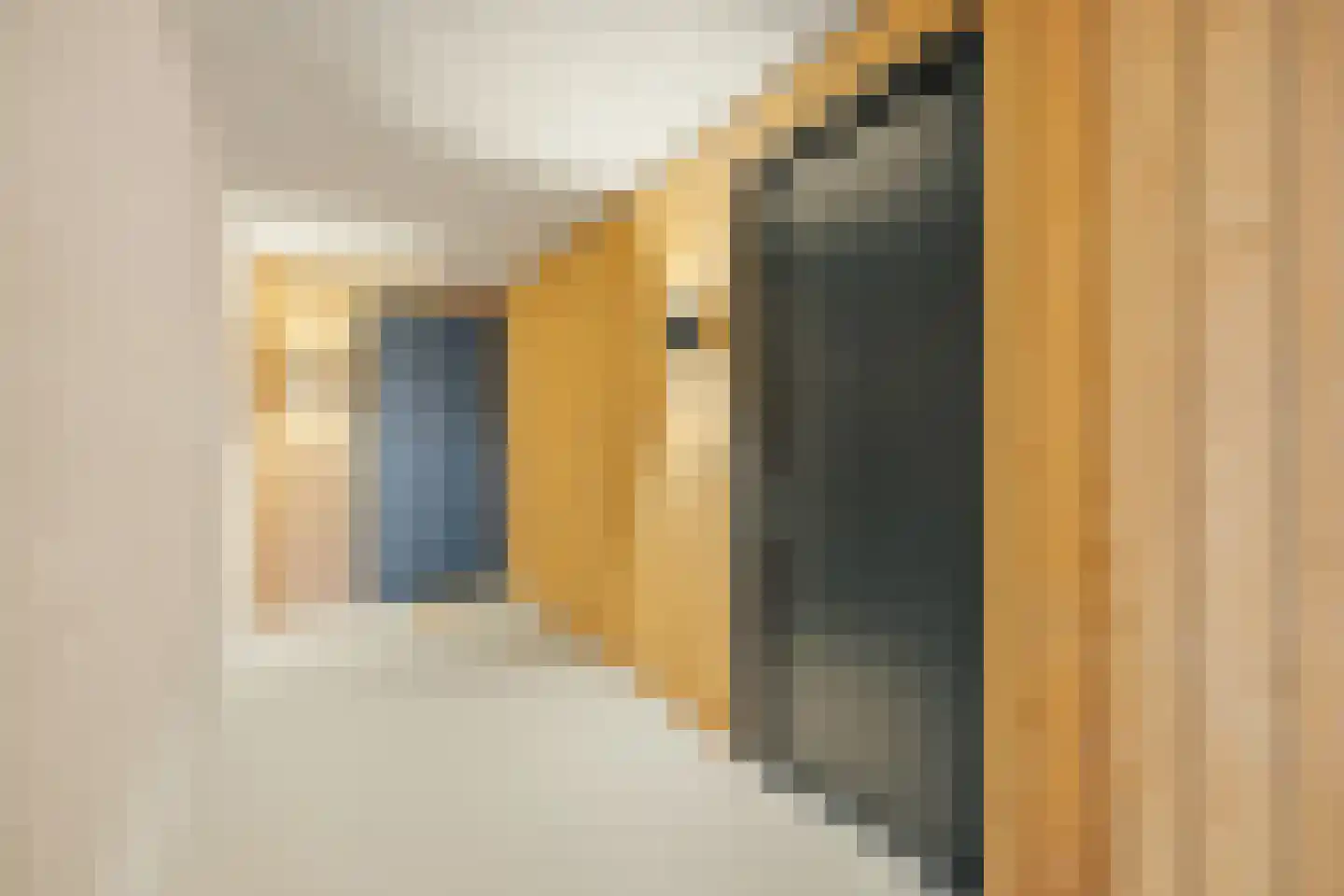 Krijn Taconiskade 271 Amsterdam thumbnail 19
