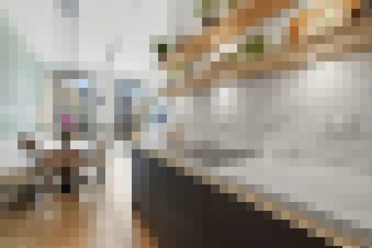 Krijn Taconiskade 31 Amsterdam thumbnail 10