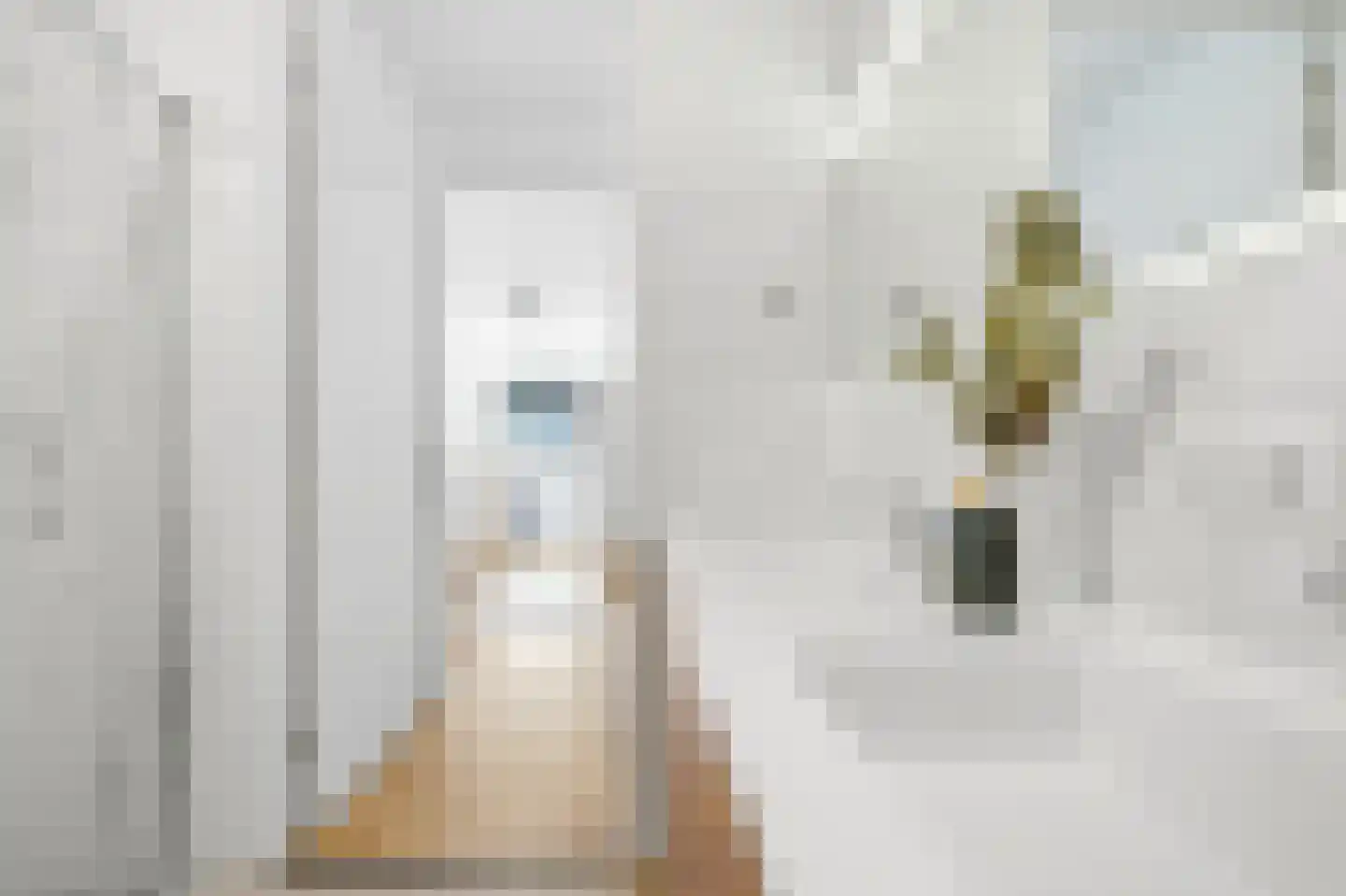 Krijn Taconiskade 31 Amsterdam thumbnail 24