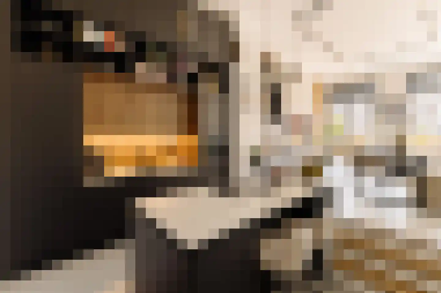 Krijn Taconiskade 35 Amsterdam thumbnail 7