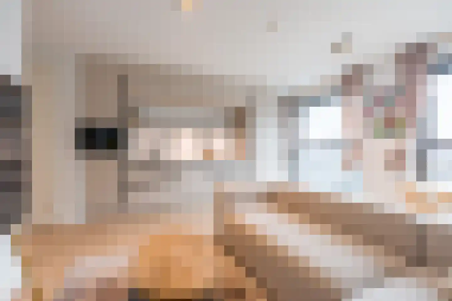 Krijn Taconiskade 371 Amsterdam thumbnail 15