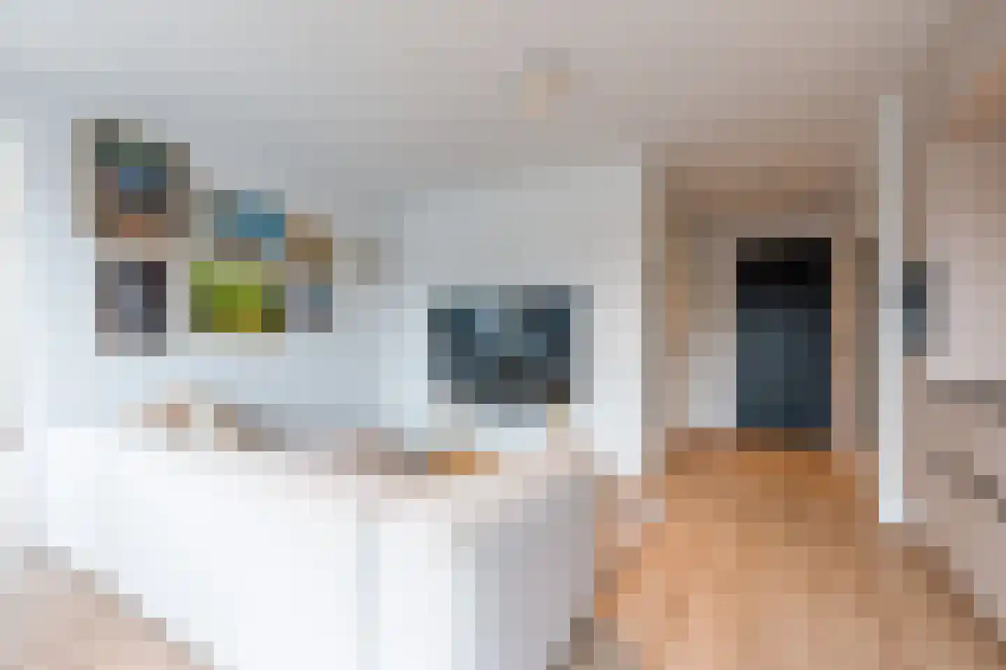 Krijn Taconiskade 371 Amsterdam thumbnail 9