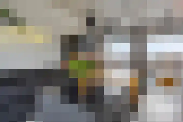 Krijn Taconiskade 463 Amsterdam thumbnail 10