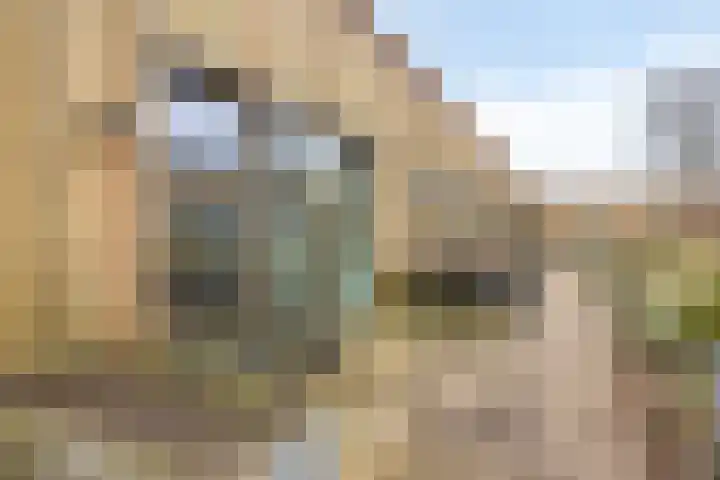 Krijn Taconiskade 463 Amsterdam thumbnail 14