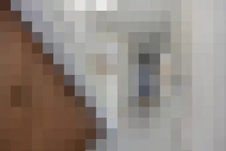 Krijn Taconiskade 463 Amsterdam thumbnail 19