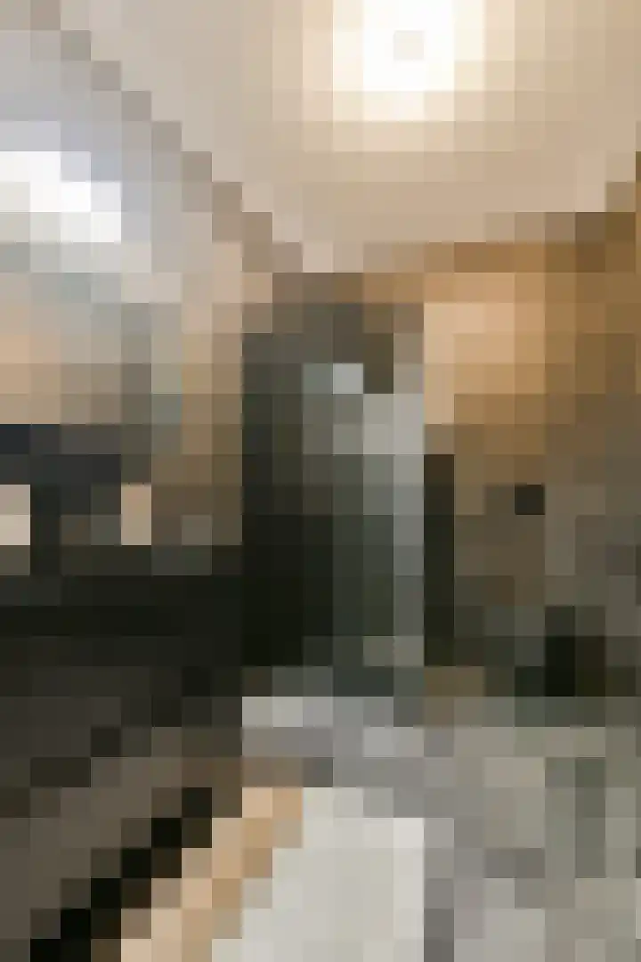 Krijn Taconiskade 467 Amsterdam thumbnail 18