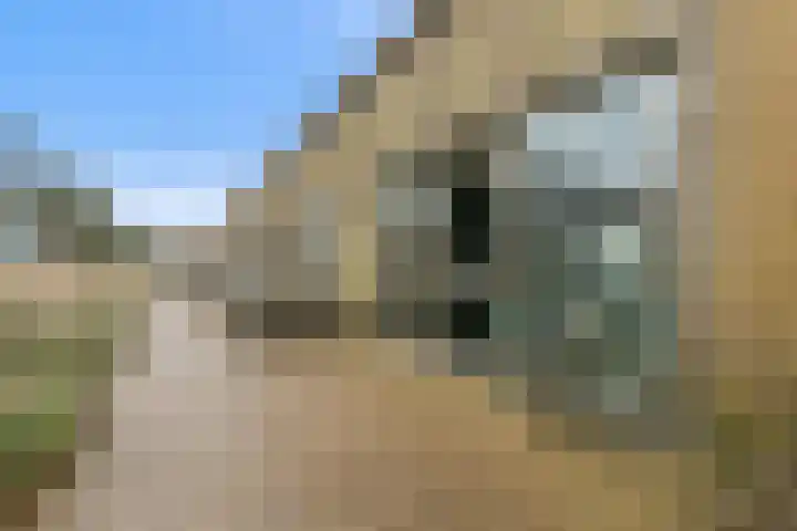 Krijn Taconiskade 467 Amsterdam thumbnail 4
