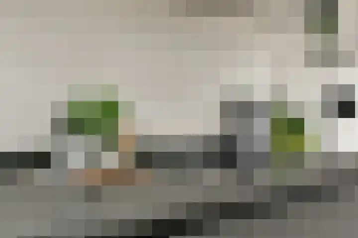 Krijn Taconiskade 467 Amsterdam thumbnail 8