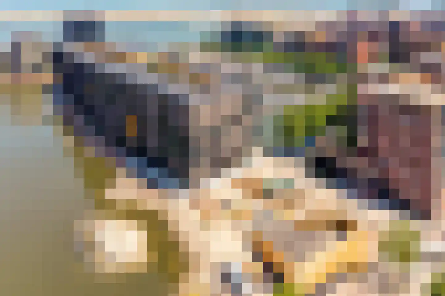 Krijn Taconiskade 469 Amsterdam thumbnail 33