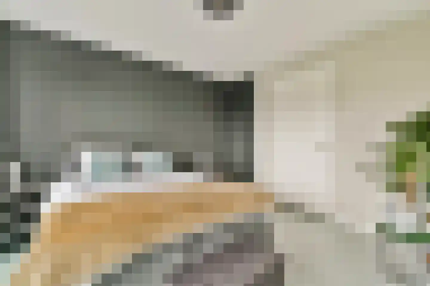 Krijn Taconiskade 471 Amsterdam thumbnail 23