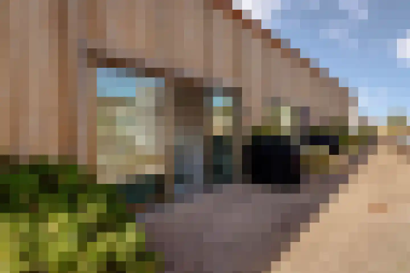 Krijn Taconiskade 485 Amsterdam thumbnail 31