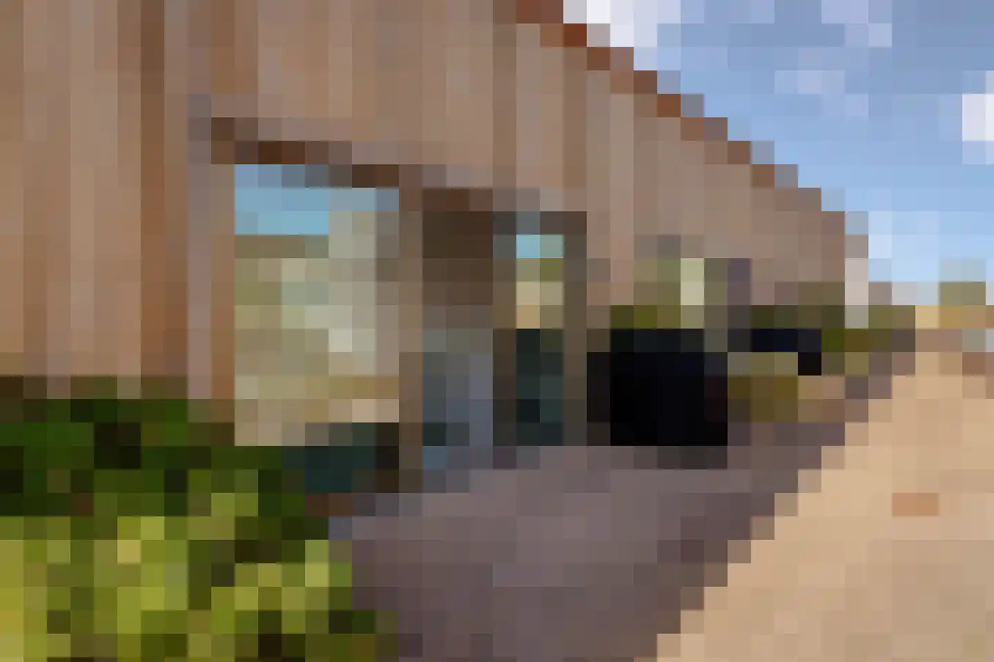 Krijn Taconiskade 485 Amsterdam thumbnail 31