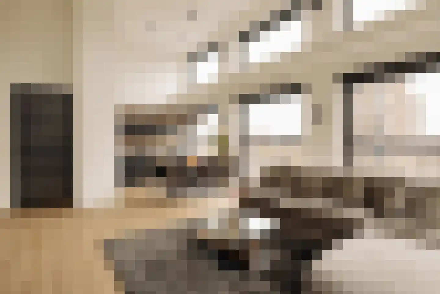 Krijn Taconiskade 521 Amsterdam thumbnail 14